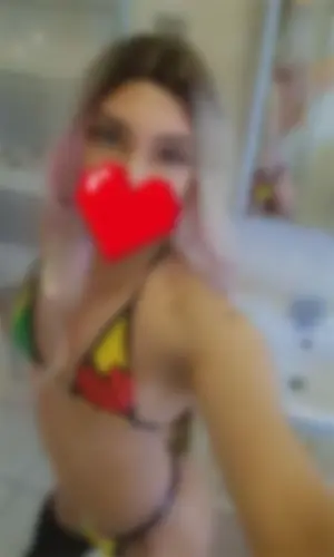 Trans - maja